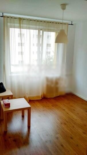 Stefan Cel Mare- Polona -Paul Graceanu bl.1982